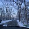 suz_47